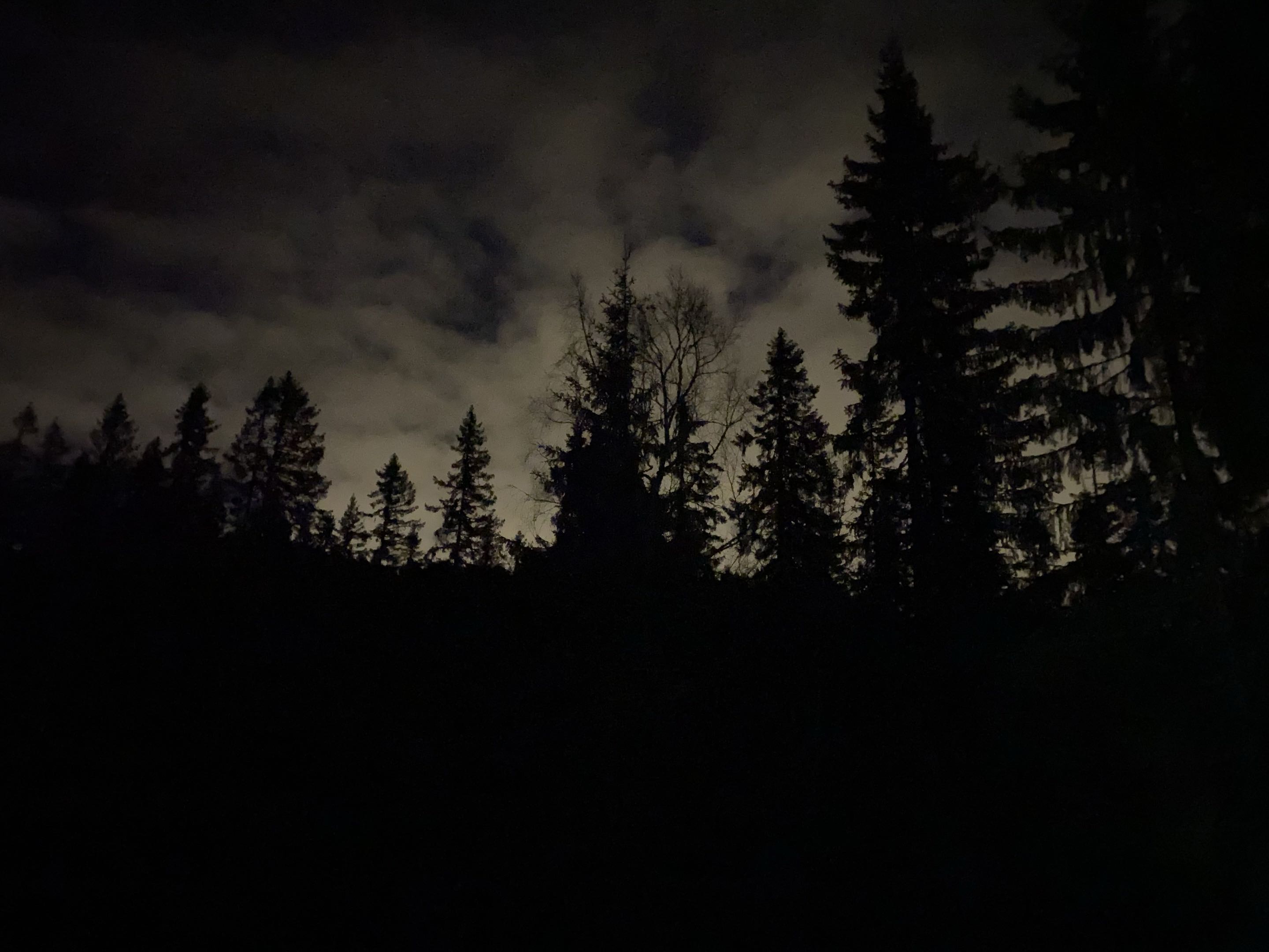 Reisefoto 4
